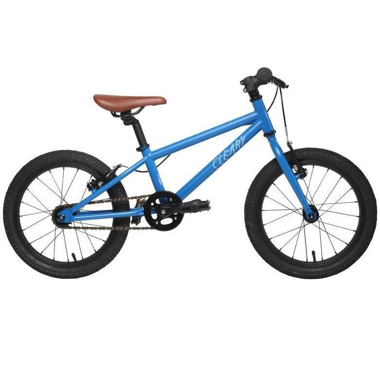 Cleary Owl 20" Kids Bike