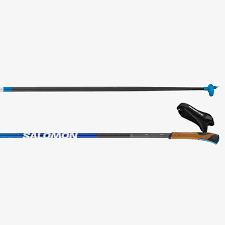 Salomon s shop lab poles